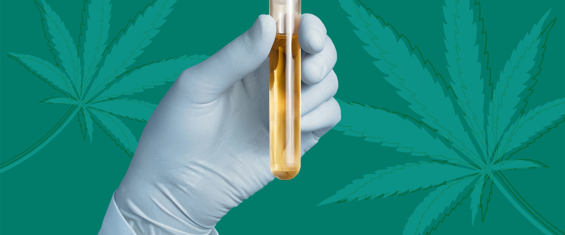 Does hemp make you pop on a drug test?