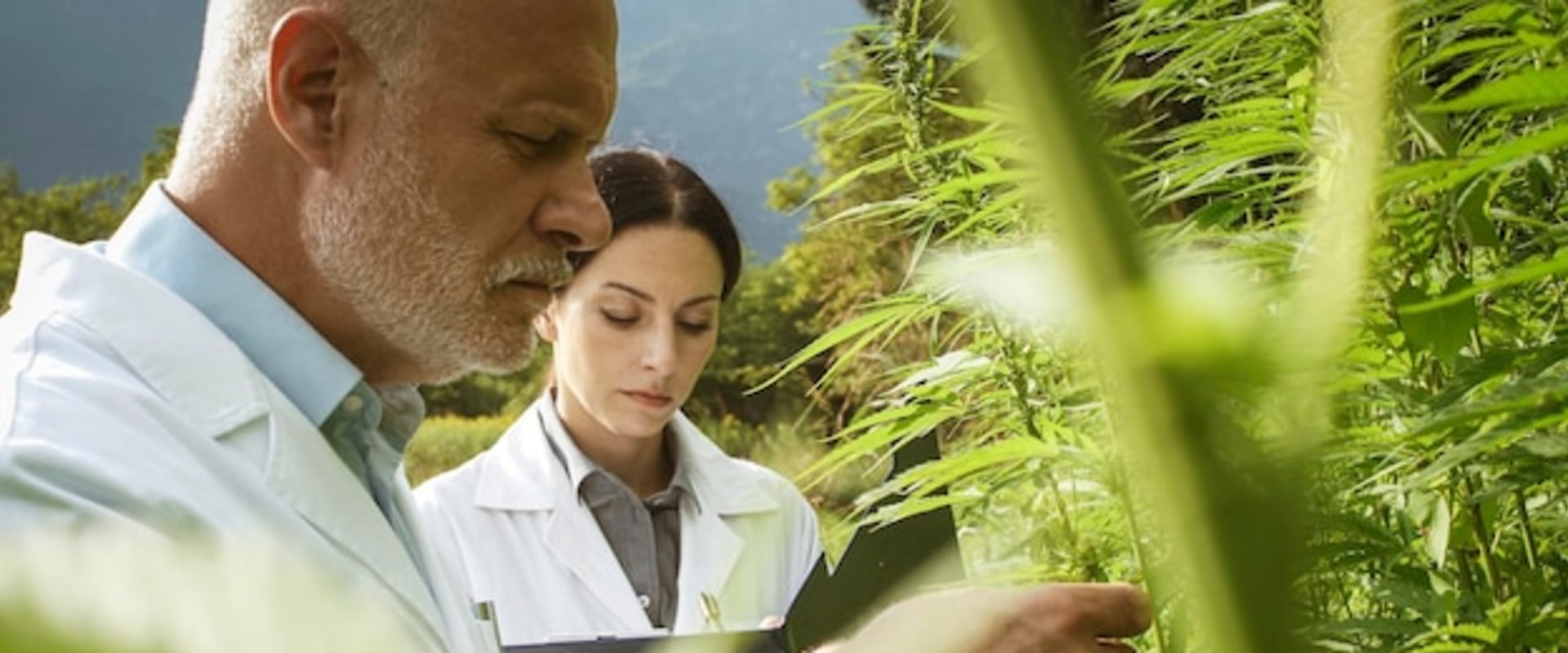 Hemp and Medical Detox: Professional Support in Delray Beach