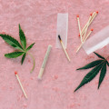 Everything You Need to Know About Hemp Cigarettes
