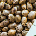 Is hemp considered cbd?