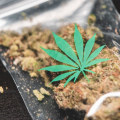 What class of drug is hemp?