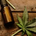 Is hemp legal in all 50 states?