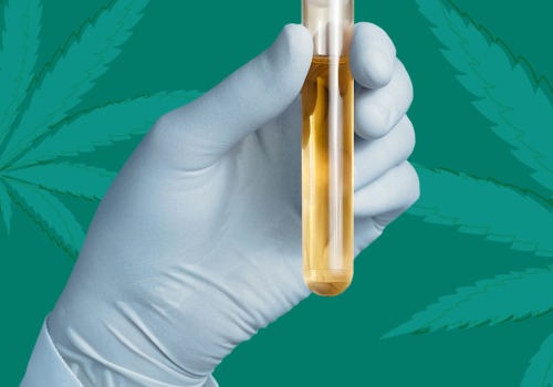 Will hemp come up on a drug test?