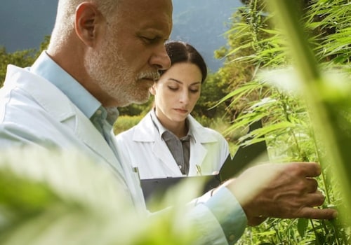 Hemp and Medical Detox: Professional Support in Delray Beach