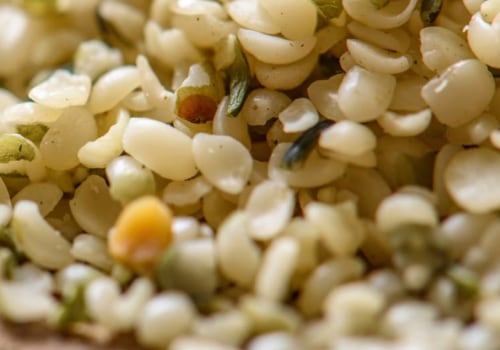 Does hemp seed show up in urine test?